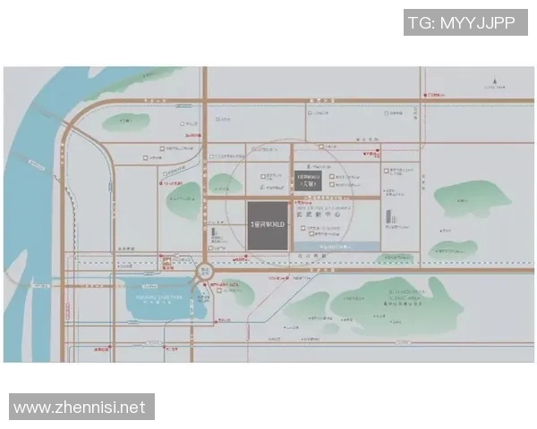 南京乒乓球队的节奏与发展动态深度解析与未来展望 南京乒乓球队的节奏与发展动态深度解析与未来展望